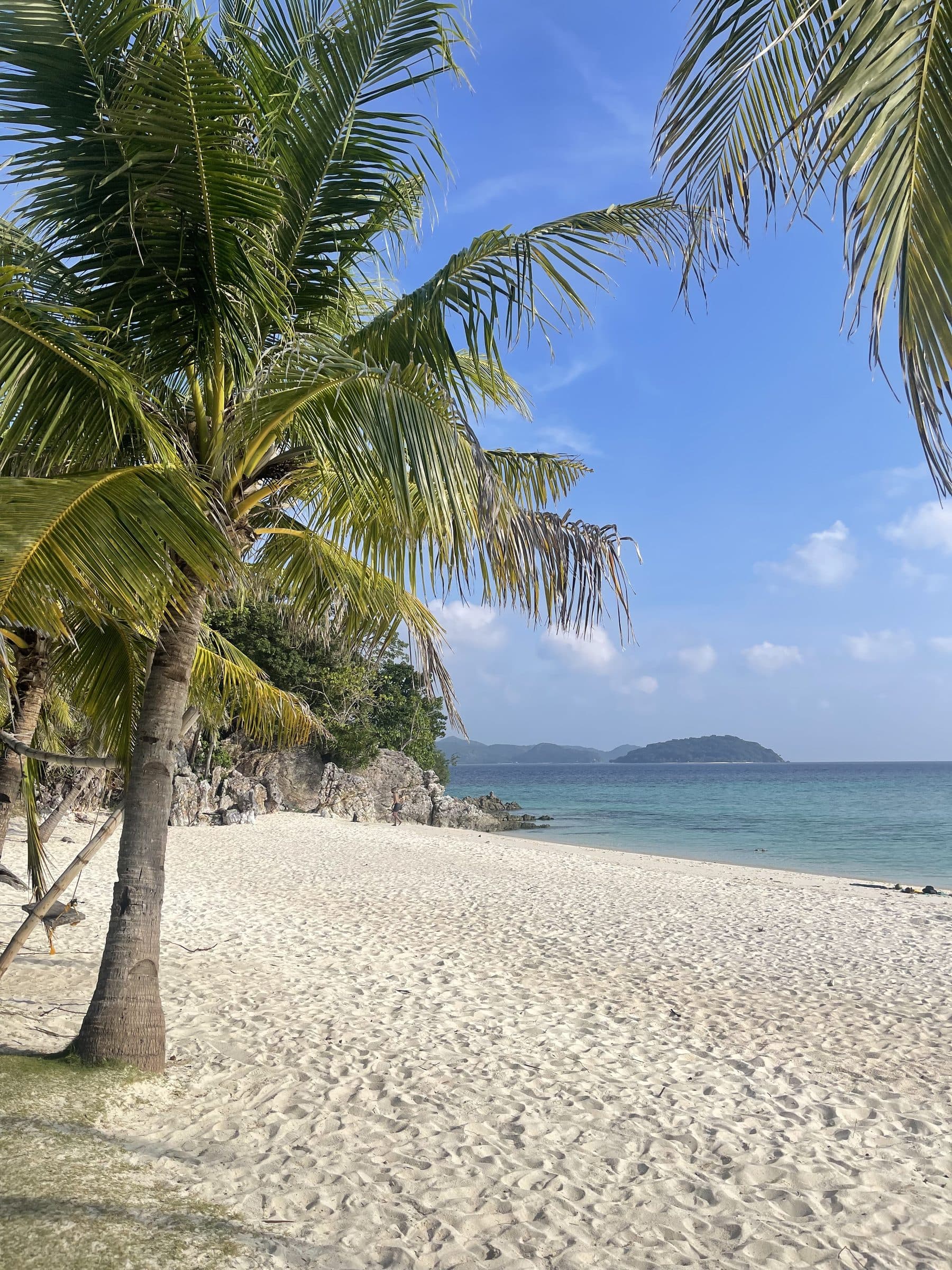 An empty white sand beach in the Philippines, fringed by leaning coconut palms, with clear turquoise water and a forested island on the horizon